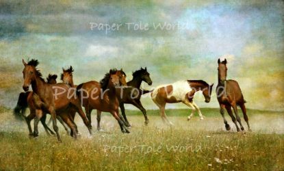 Picture of Wild Horses 7" x 12"