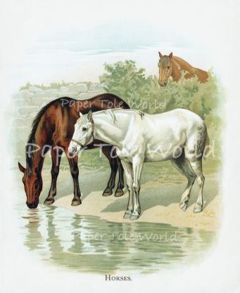 Picture of Horses At The Watering Hole - 10" x 12"