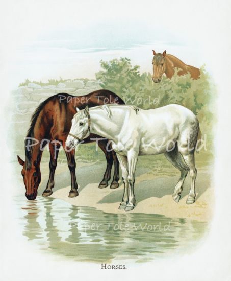 Picture of Horses At The Watering Hole - 10" x 12"