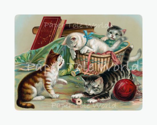 Picture of Kittens Playing - 6" x 8"