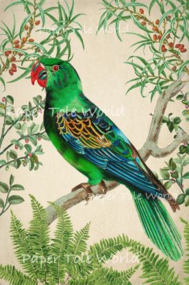 Picture of Vintage Green Parrot - 6" x 9"
