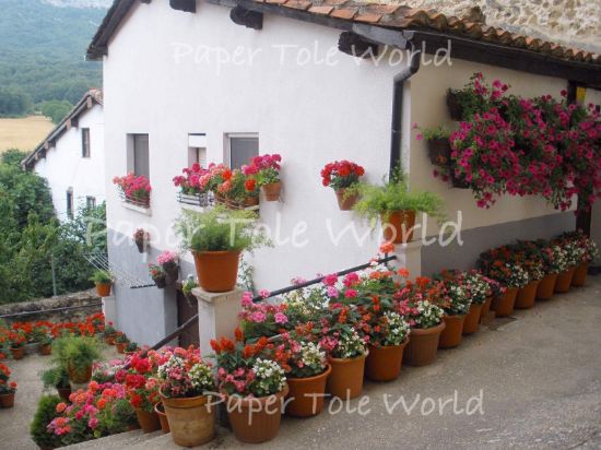 Picture of Spanish Flowers - 4" x 5"