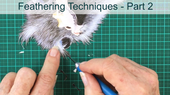 Picture of Feathering - Part 2