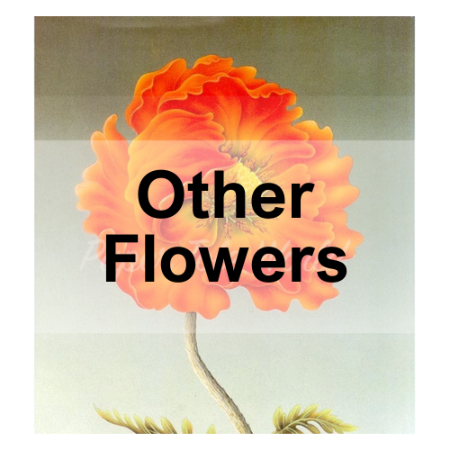 Picture for category Other Flowers