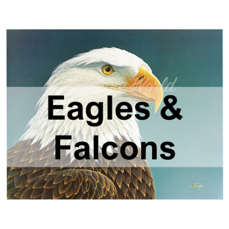 Picture for category Eagles & Falcons
