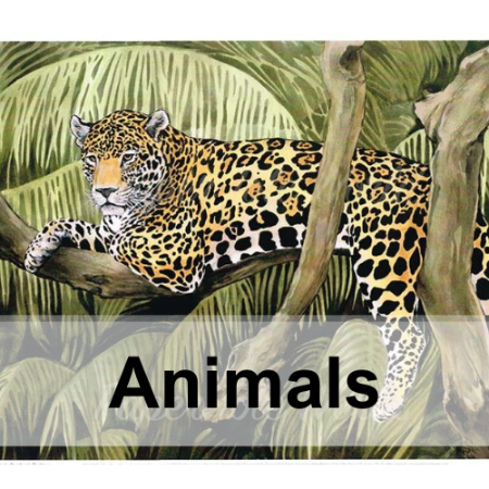 Picture for category Animals