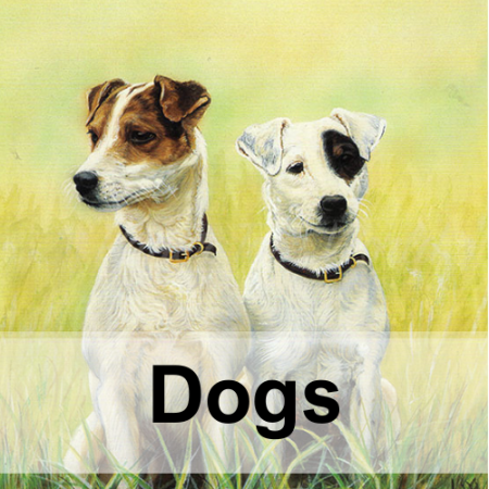 Picture for category Dogs