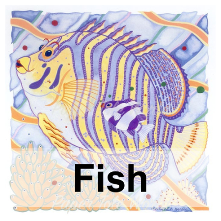 Picture for category Fish
